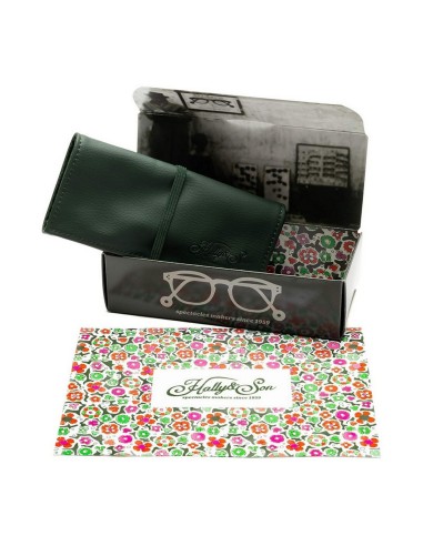 gafas_de_sol_unisex_hally_&_son_hs741s04_Ø_51_mm_8029224810556_promocion