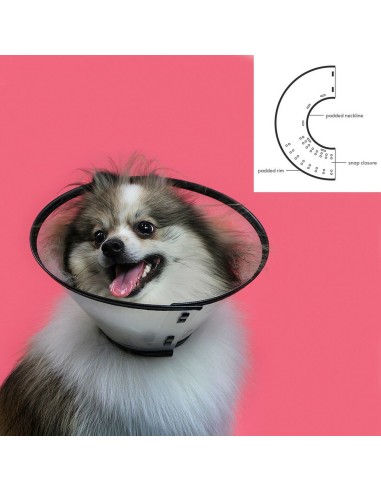 collar_isabelino_para_perros_kvp_saf-t-clear_transparente_17-30_cm_0742061547048_promocion