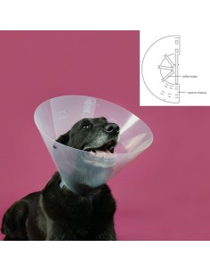collar_isabelino_para_perros_kvp_betsy_transparente_63-78_cm_0742061618403_oferta 2