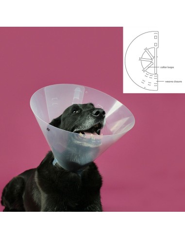 collar_isabelino_para_perros_kvp_betsy_transparente_63-78_cm_0742061618403_promocion