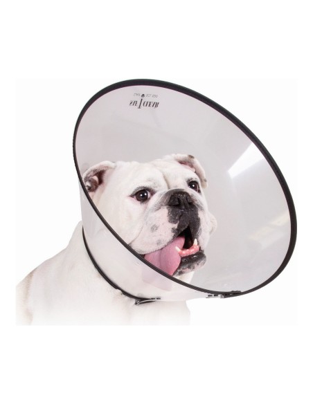collar_isabelino_para_perros_kvp_saf-t-clear_transparente_22-43_cm_0742061547086_oferta