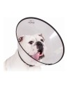 Collar Isabelino para Perros Kvp Saf-t-clear Transparente 22-43 Cm