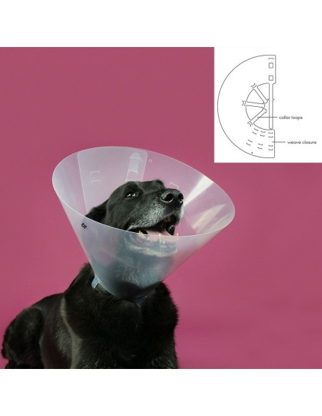 collar_isabelino_para_perros_kvp_betsy_transparente_22-26_cm_0742061611756_promocion