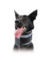 Collarín Cervical para Perros Kvp Negro 6-28 Cm