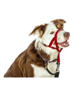 collar_de_adiestramiento_para_perros_company_of_animals_halti_bozal_31-40_cm_0886284111409_oferta 2