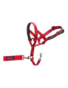 collar_de_adiestramiento_para_perros_company_of_animals_halti_bozal_46-62_cm_0886284114400_oferta