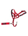Collar de Adiestramiento para Perros Company Of Animals Halti Bozal 46-62 Cm