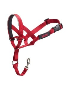 collar_de_adiestramiento_para_perros_company_of_animals_halti_bozal_40-54_cm_0886284113403_oferta