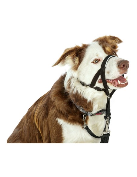 collar_de_adiestramiento_para_perros_company_of_animals_halti_negro_bozal_46-62_cm_0886284114202_novedad