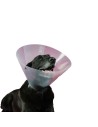 Collar Isabelino para Perros Kvp Betsy 23-27 Cm