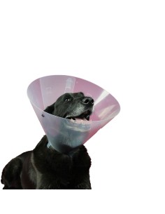 collar_isabelino_para_perros_kvp_betsy_27-31_cm_0742061613125_oferta