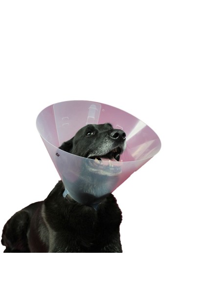 collar_isabelino_para_perros_kvp_betsy_27-31_cm_0742061613125_oferta