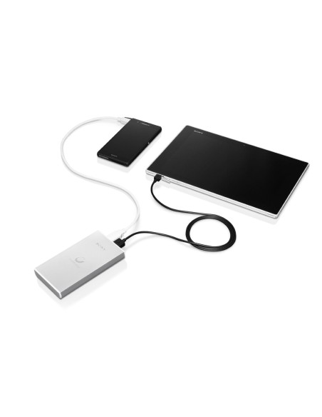 Sony CP-F2 - Cargador de tableta para Smartphone, Tableta (Lithium ion): Kiwiku.com: Informática