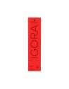 Tinte Permanente Schwarzkopf Igora Royal Color 6.31 60ml