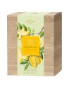 4711 Acqua Colonia Starfruit & White Flowers Eau de Cologne 50ml + Duschgel 75ml Set 1 Pcs