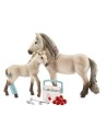 Schleich Horse Club 42430 Set de Primeros Aux.de Horseclub Hannah