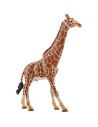 Schleich Wild Life Jirafa Macho