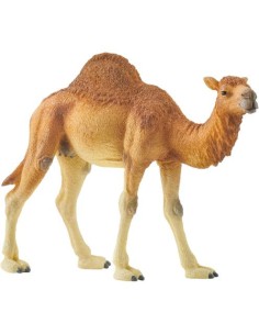 schleich_wild_life_14832_dromedary_4059433039671_oferta