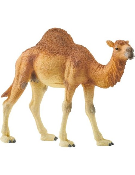 schleich_wild_life_14832_dromedary_4059433039671_oferta