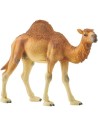 Schleich Wild Life 14832 Dromedary