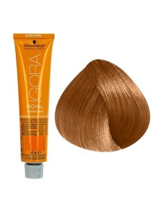 tinte_permanente__schwarzkopf_igora_royal_fashion_l-57_60ml_4045787183283_oferta