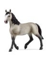 Schleich Horse Club 13955 Cheval de Selle Francais Stute