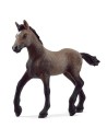 Schleich Horse Club Paso Peruano Fohlen 13954