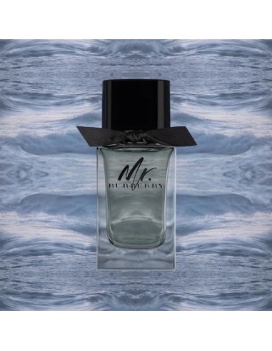 burberry_mr_burberry_para_hombre_eau_de_toilette_150ml_3614229840087_barato