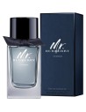 Mr. Burberry Indigo Eau de Toilette Vaporizador 100ml