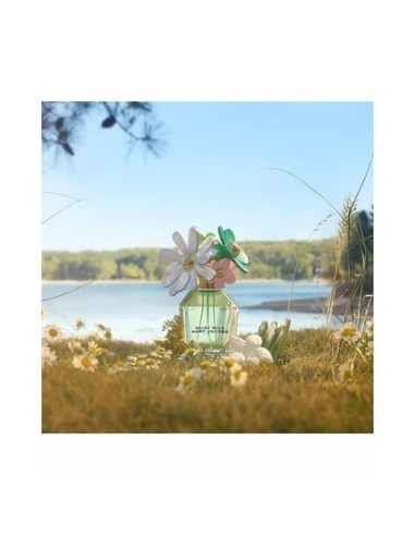 marc_jacobs_daisy_wild_eau_de_parfum_vaporizador_100ml_3616303466060_barato