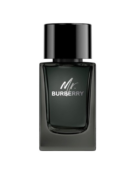 mr._burberry_eau_de_perfume_vaporizador_100ml_5045497416243_oferta