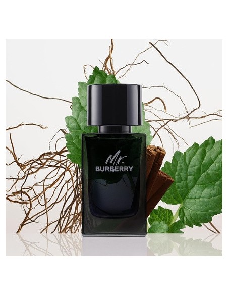 mr._burberry_eau_de_perfume_vaporizador_100ml_5045497416243_promocion