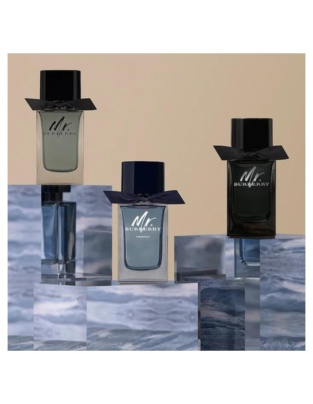 mr._burberry_eau_de_perfume_vaporizador_100ml_5045497416243_barato