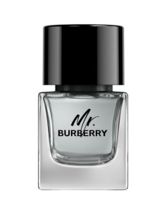 burberry_mr.burberry_eau_de_toilette_50ml_vaporizador_3614229840117_oferta