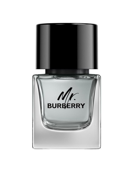 burberry_mr.burberry_eau_de_toilette_50ml_vaporizador_3614229840117_oferta