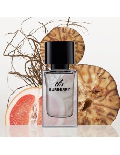 burberry_mr.burberry_eau_de_toilette_50ml_vaporizador_3614229840117_oferta 2