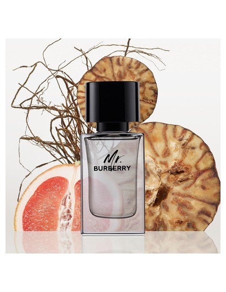 burberry_mr.burberry_eau_de_toilette_50ml_vaporizador_3614229840117_promocion