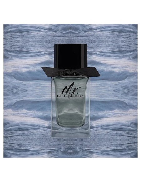 burberry_mr.burberry_eau_de_toilette_50ml_vaporizador_3614229840117_barato