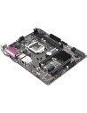 Asrock b85m-gl - placa base 1150 b85m-gl (u,s,sat,gbl,ddr3)