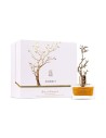 Aurora Deciduous Summer Eau de Parfum para Mujer 100ml