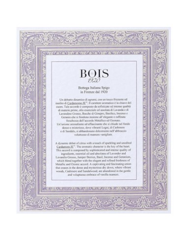bois_1920_spigo_1920_eau_de_parfum_100ml_vaporizador_8056459101562_barato