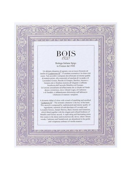 bois_1920_spigo_1920_eau_de_parfum_100ml_vaporizador_8056459101562_barato