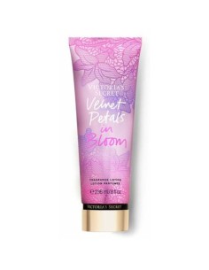 victoria's_secret_velvet_petals_in_bloom_loción_corporal_236ml_0667550749928_oferta