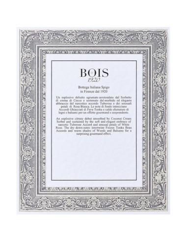 bois_1920_aethereus_eau_de_parfum_100ml_vaporizador_8056459101555_barato