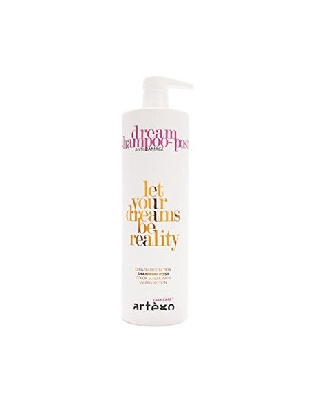 artego_dream_post-_champu_1000ml_8032605279484_oferta