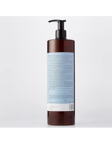 Artego Rain Dance Color Champu 1000ml