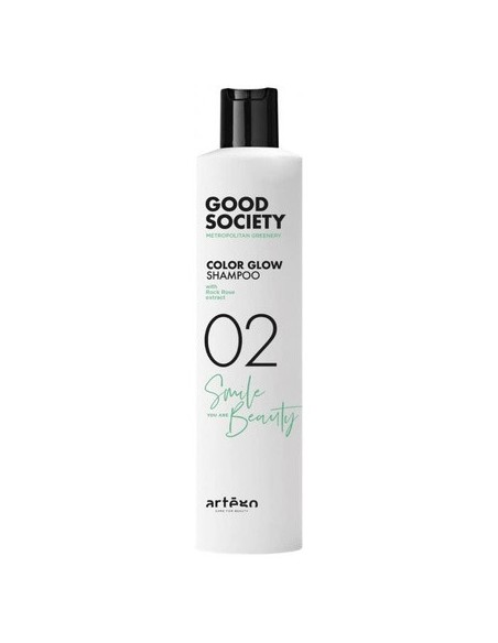 artego_good_society_champú_que_da_brillo_al_color_02_250ml_8056157871194_oferta