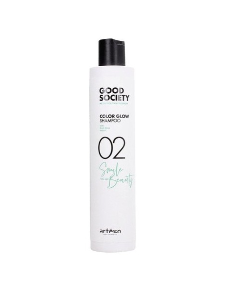 artego_good_society_champú_que_da_brillo_al_color_02_250ml_8056157871194_promocion
