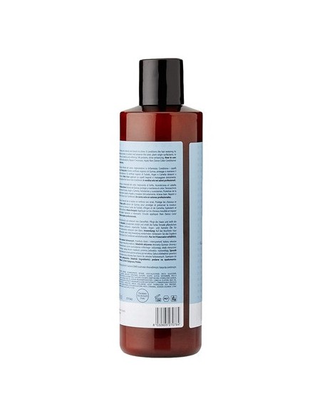 Artego Rain Dance Color Champu 250ml