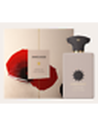 Amouage Opus Xii Rose Incense Eau de Parfum Unisex 100ml